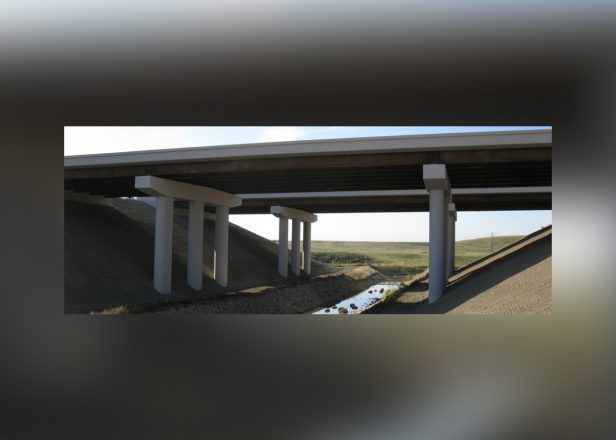 Pont de la Stoney Trail
