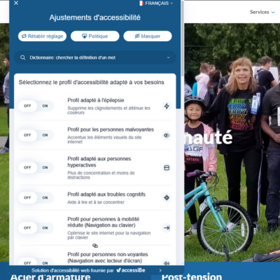 Module accessibilité site